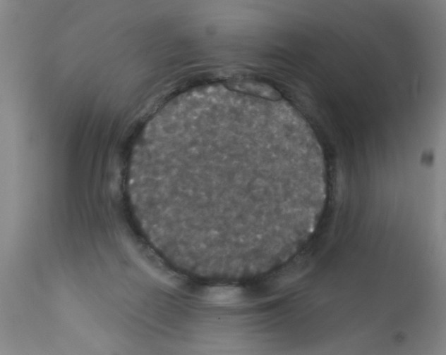 X0000113060266200910091150