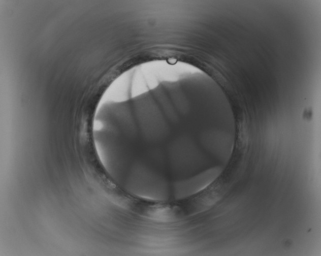 X0000113060267200910091150