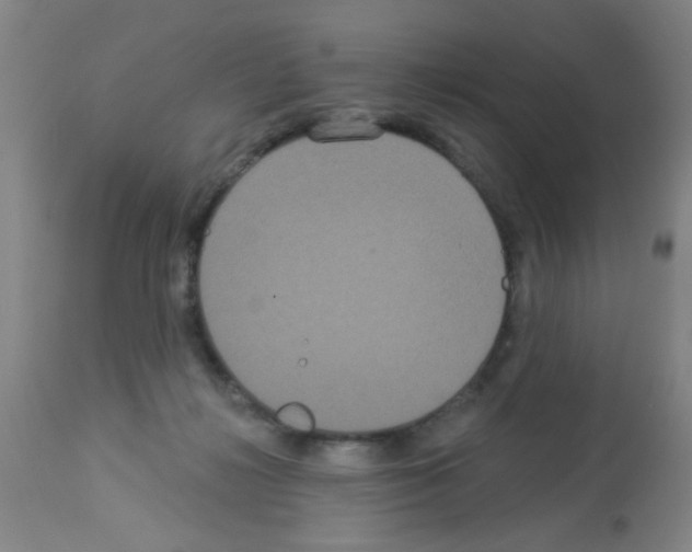X0000113060268200910091150