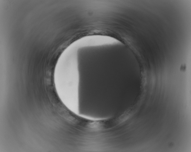 X0000113060269200910091150