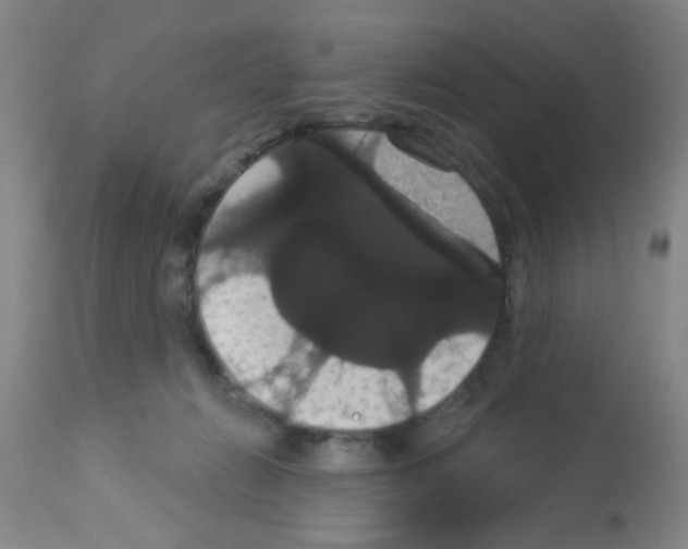 X0000113060270200910091150