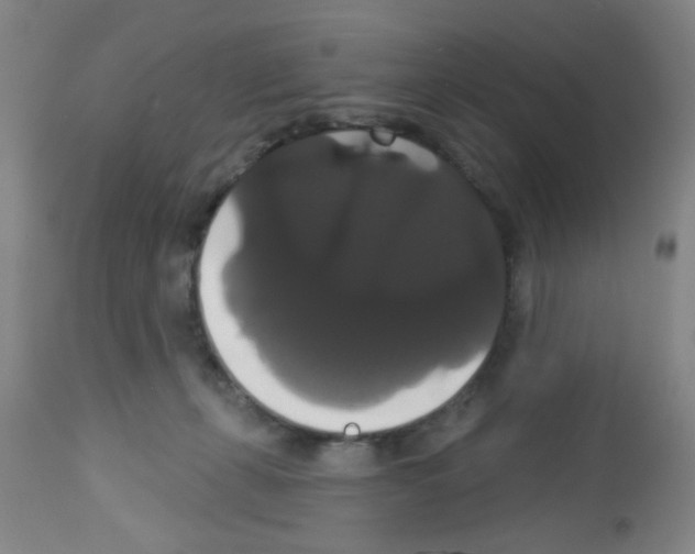 X0000113060271200910091150