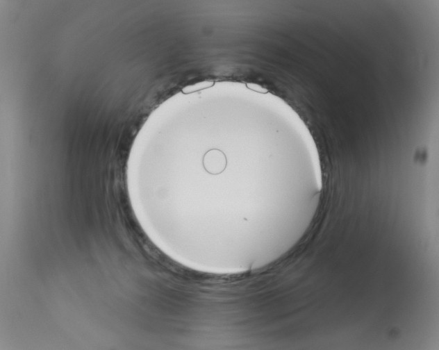 X0000113060272200910091150