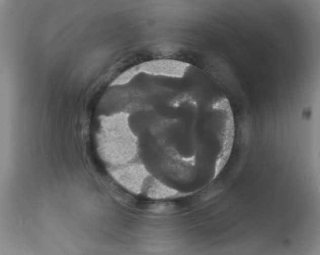 X0000113060274200910091150