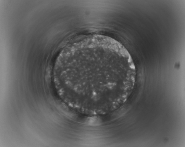X0000113060275200910091150