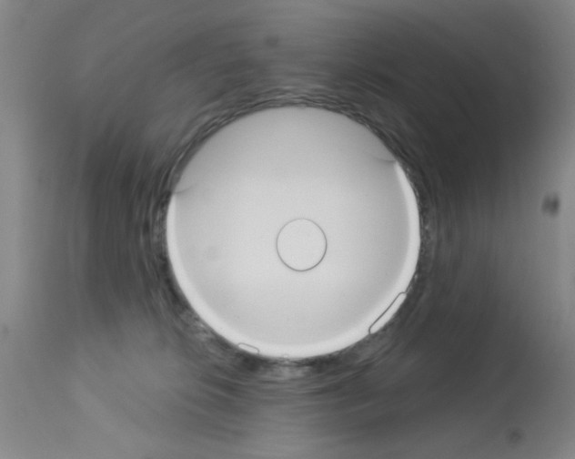 X0000113060276200910091151