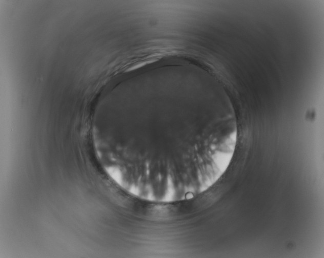 X0000113060277200910091151
