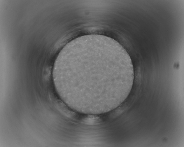 X0000113060278200910091151