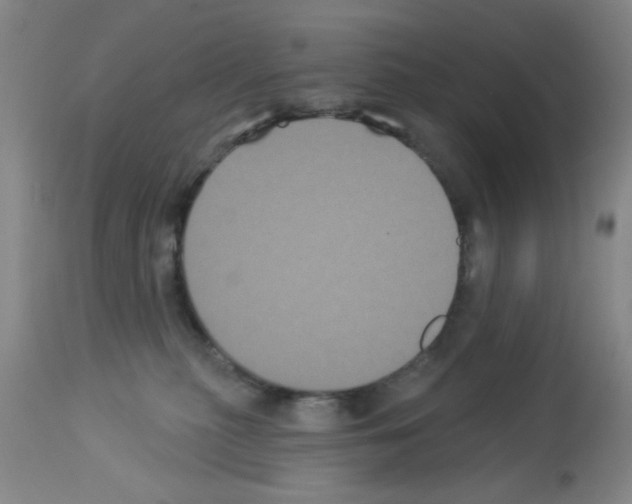 X0000113060279200910091151