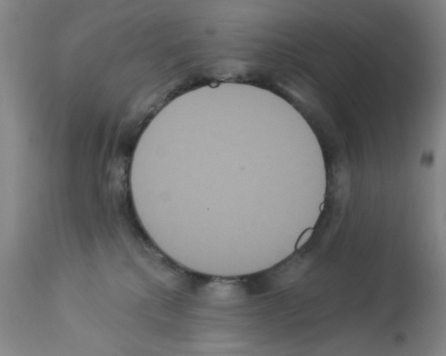 X0000113060280200910091151