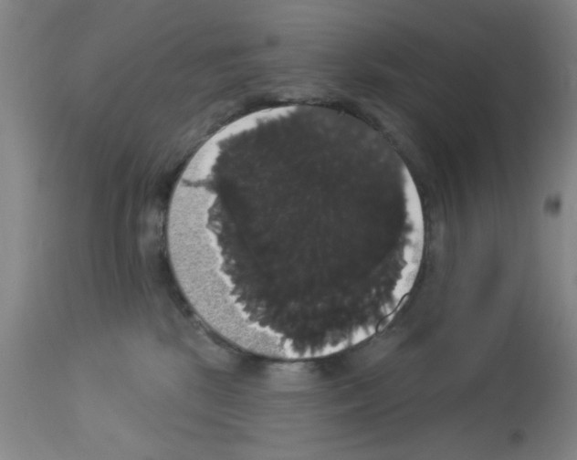 X0000113060281200910091151