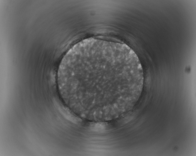 X0000113060282200910091151