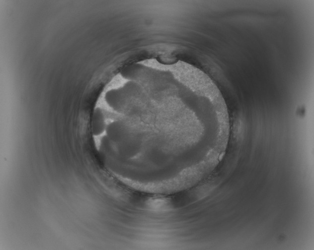 X0000113060283200910091151