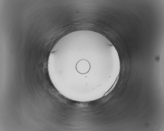 X0000113060284200910091151