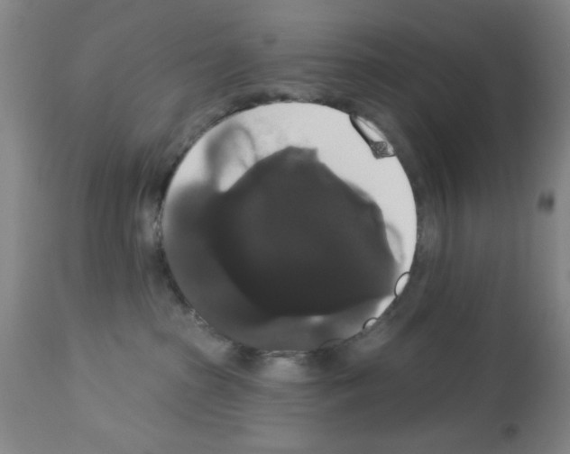 X0000113060285200910091151