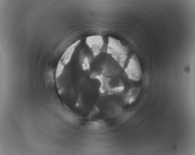 X0000113060286200910091151