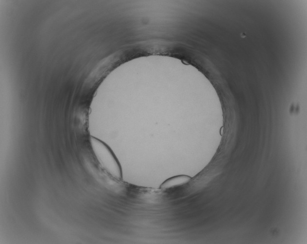 X0000113060288200910091151