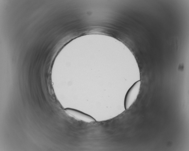 X0000113060289200910091150