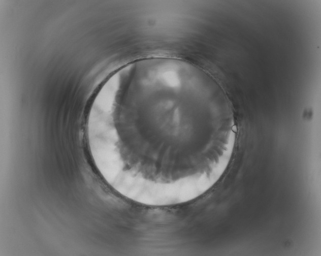 X0000113060290200910091150