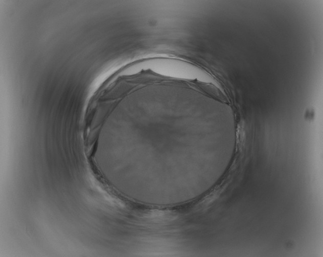 X0000113060292200910091150