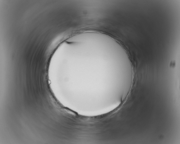 X0000113060293200910091150