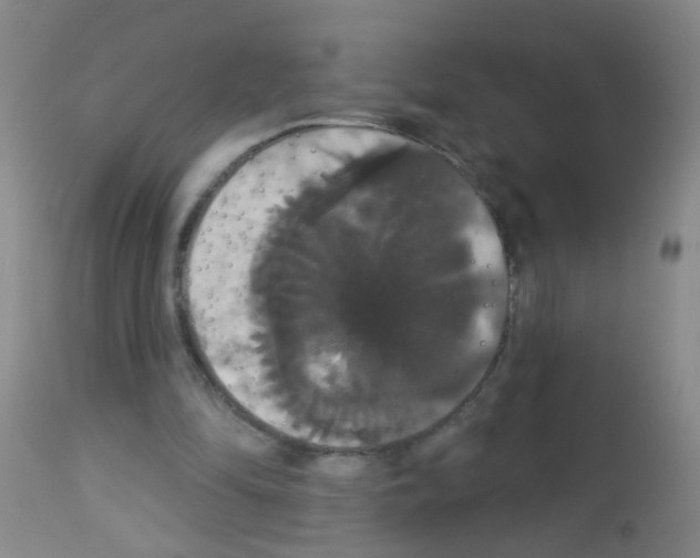 X0000113060294200910091150