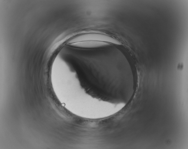 X0000113060295200910091150