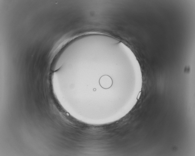 X0000113060296200910091150