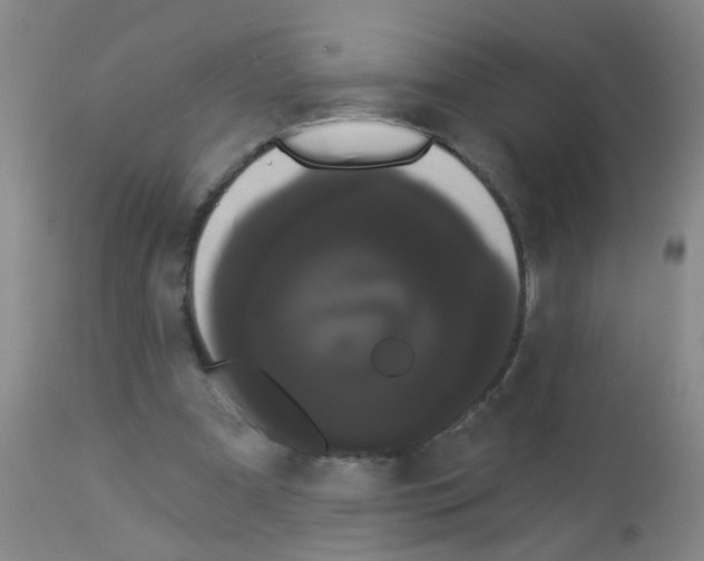 X0000113060297200910091150