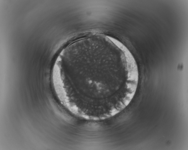 X0000113060299200910091150