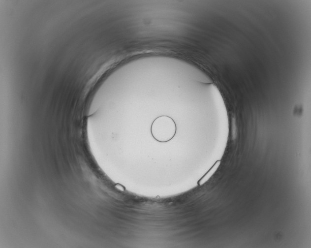 X0000113060300200910091150