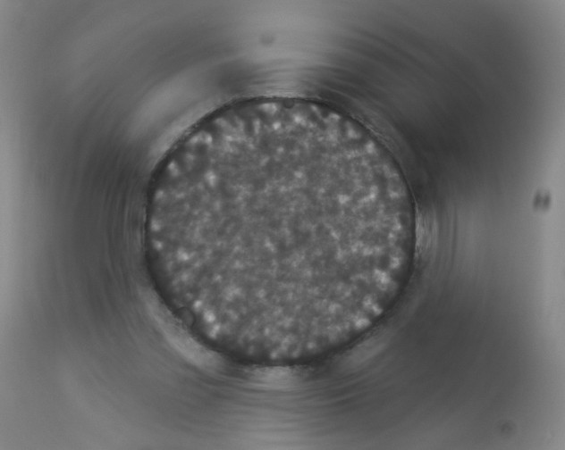 X0000113060301200910091150