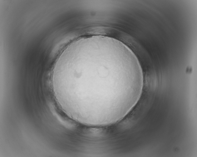 X0000113060302200910091150