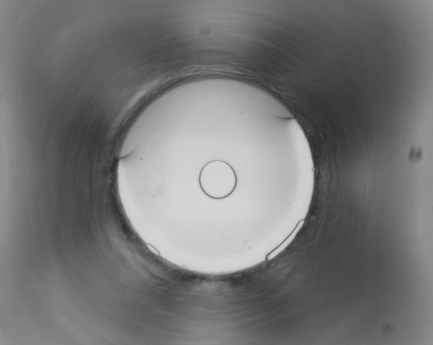 X0000113060304200910091150