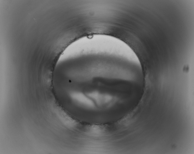 X0000113060305200910091150