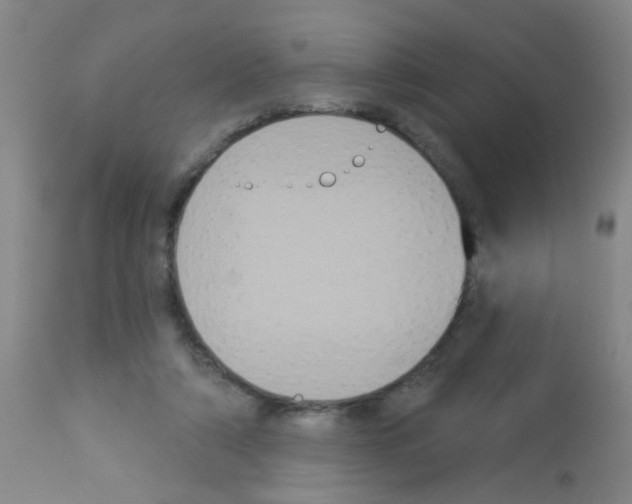 X0000113060306200910091150