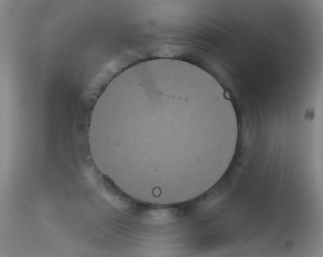 X0000113060307200910091150