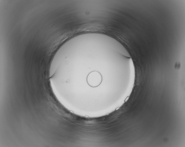 X0000113060309200910091150
