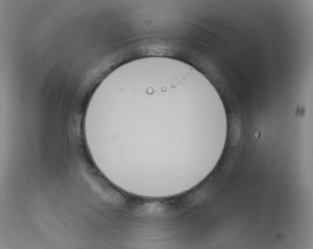 X0000113060310200910091150