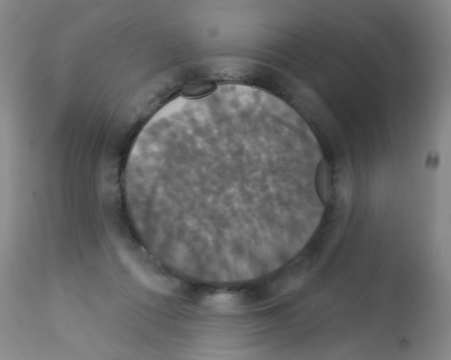 X0000113060312200910091150