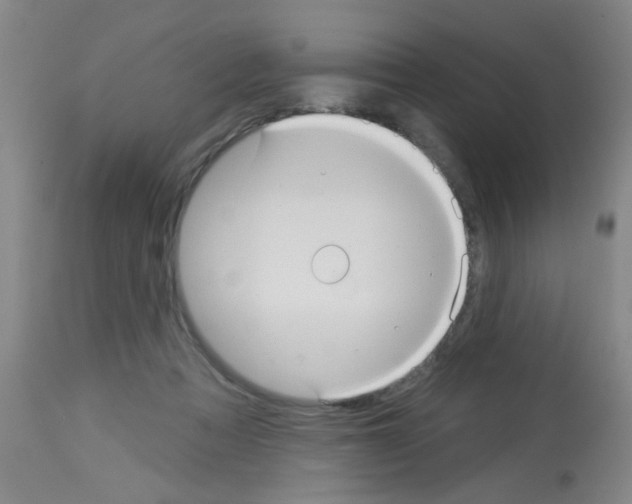 X0000113060313200910091150