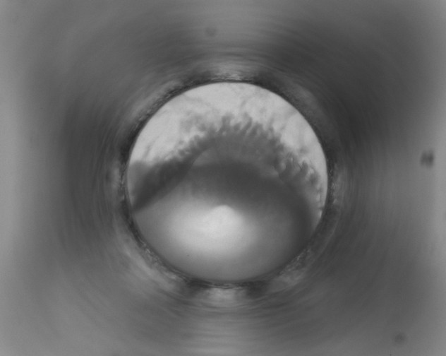 X0000113060314200910091150