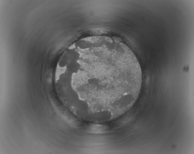 X0000113060315200910091150