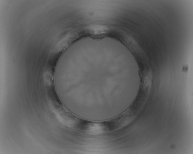 X0000113060316200910091150
