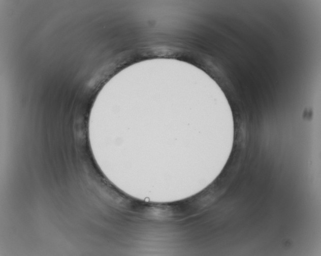X0000113060317200910091150