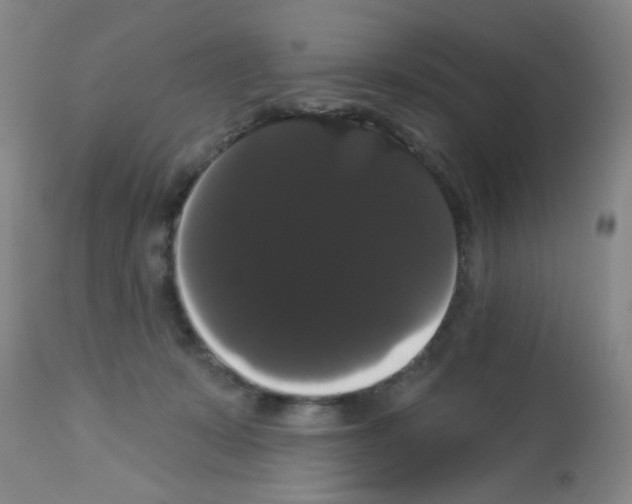 X0000113060319200910091150