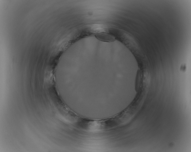 X0000113060320200910091150