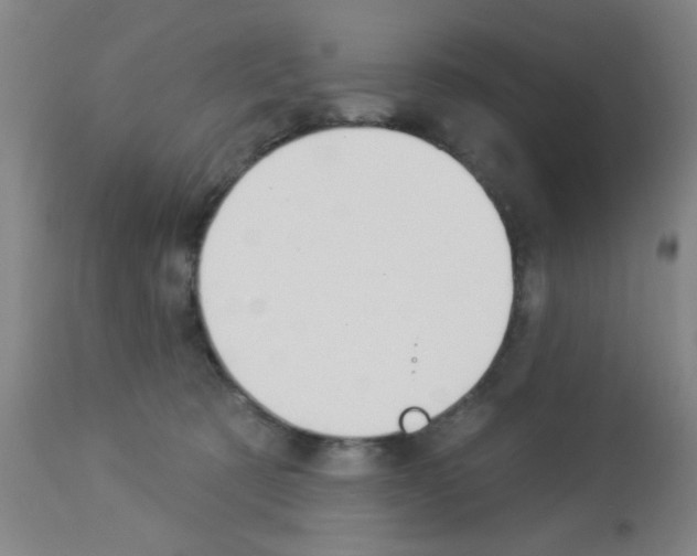 X0000113060321200910091150