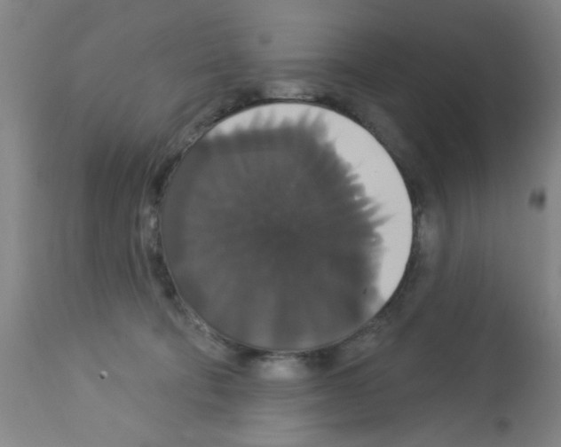 X0000113060322200910091150