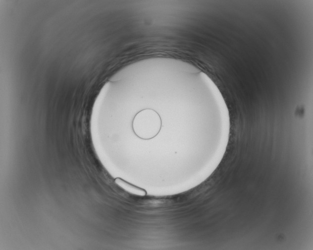 X0000113060323200910091150